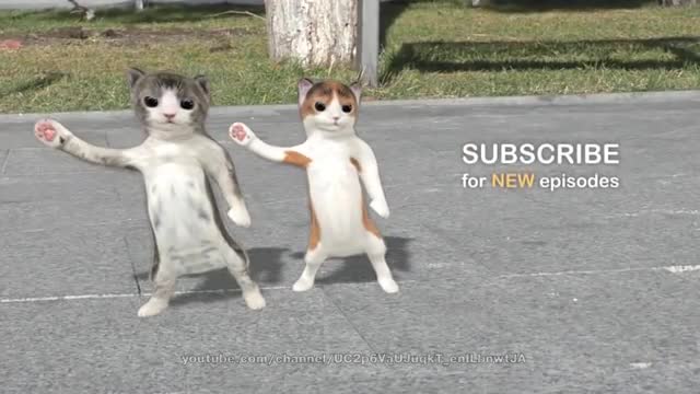 Cats Dancing .