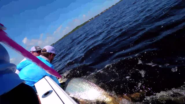 100 Tarpon in Stuart fl