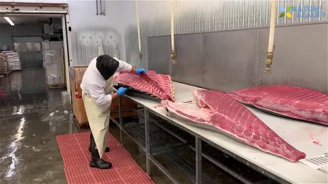 World's Fastest fish Cutting || Guinesss World record to cut the fish