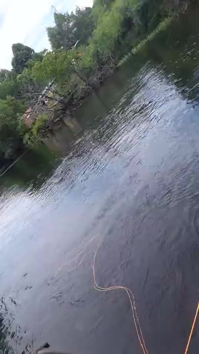 Brook trout on the Toccoa River