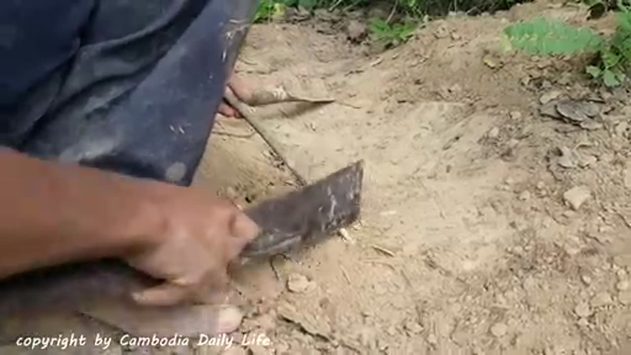 Amazing Smart Brothers Catch Snakes Using Deep Hole Trap - How To Catch Snake With Trap in