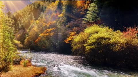 Relaxing Music | Sleeping, Meditation, Stress Relief | [5951] ⭐️