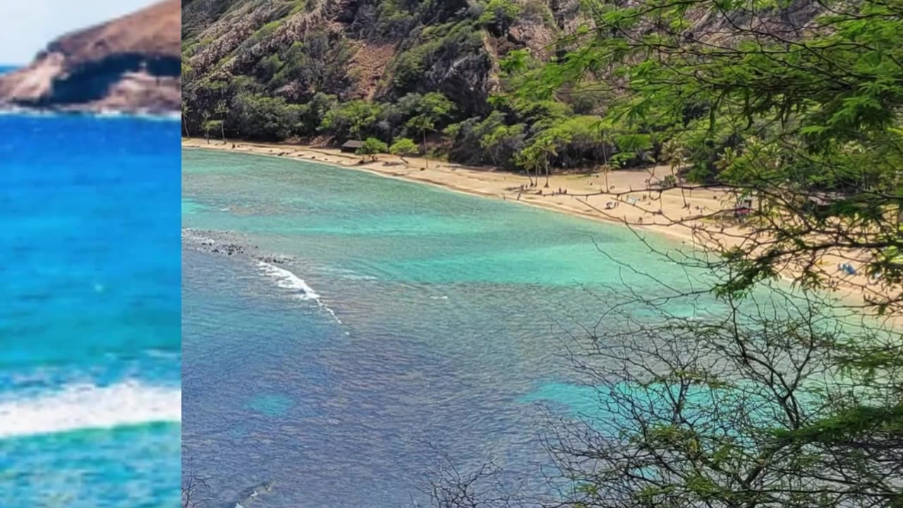 Hanauma Bay: Snorkeling Paradise in Oahu's Marine Sanctuary