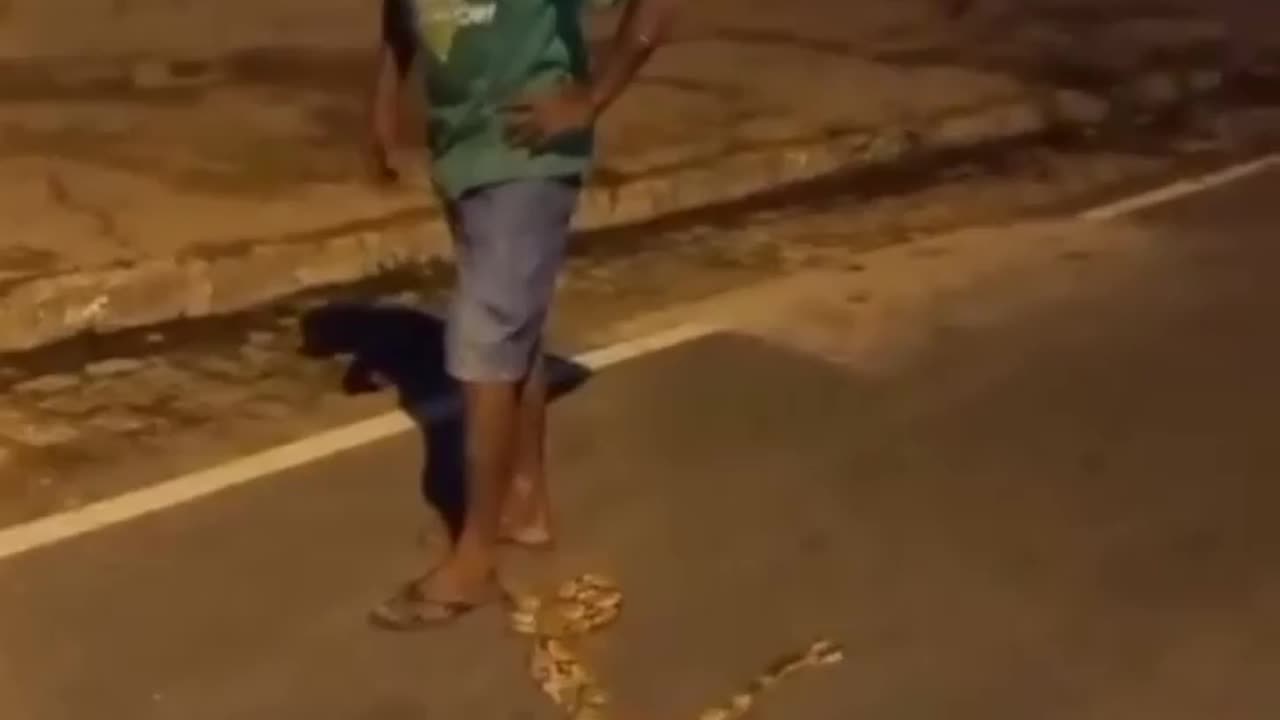 sai dai espaguete