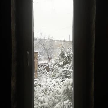 Window to the winter world