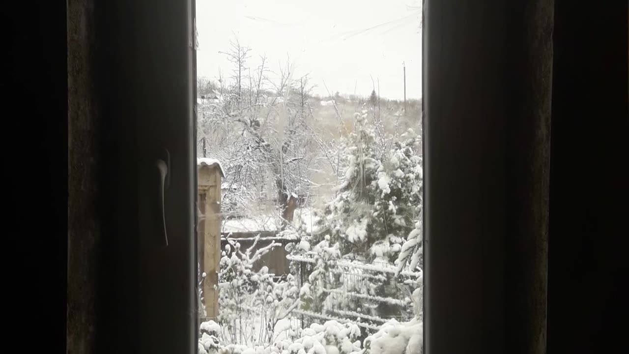 Window to the winter world