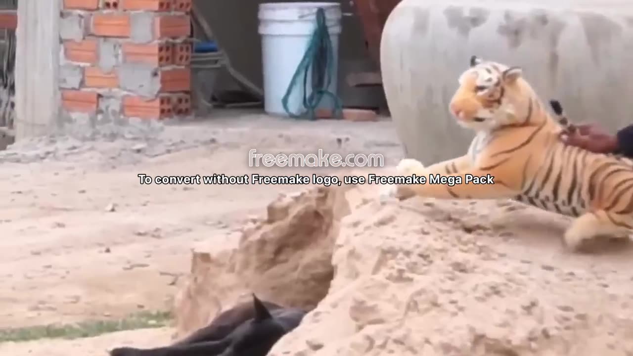 Troll Prank Dog Funny: features fake lion & fake tiger
