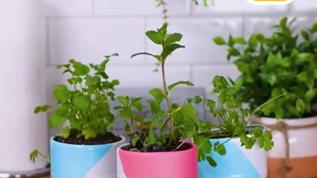 Genius Plant Hacks🌿