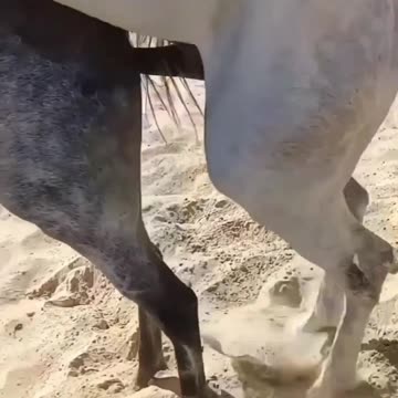 Your Aim is Not clear