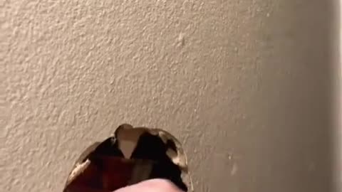 Who Punch The Wall?