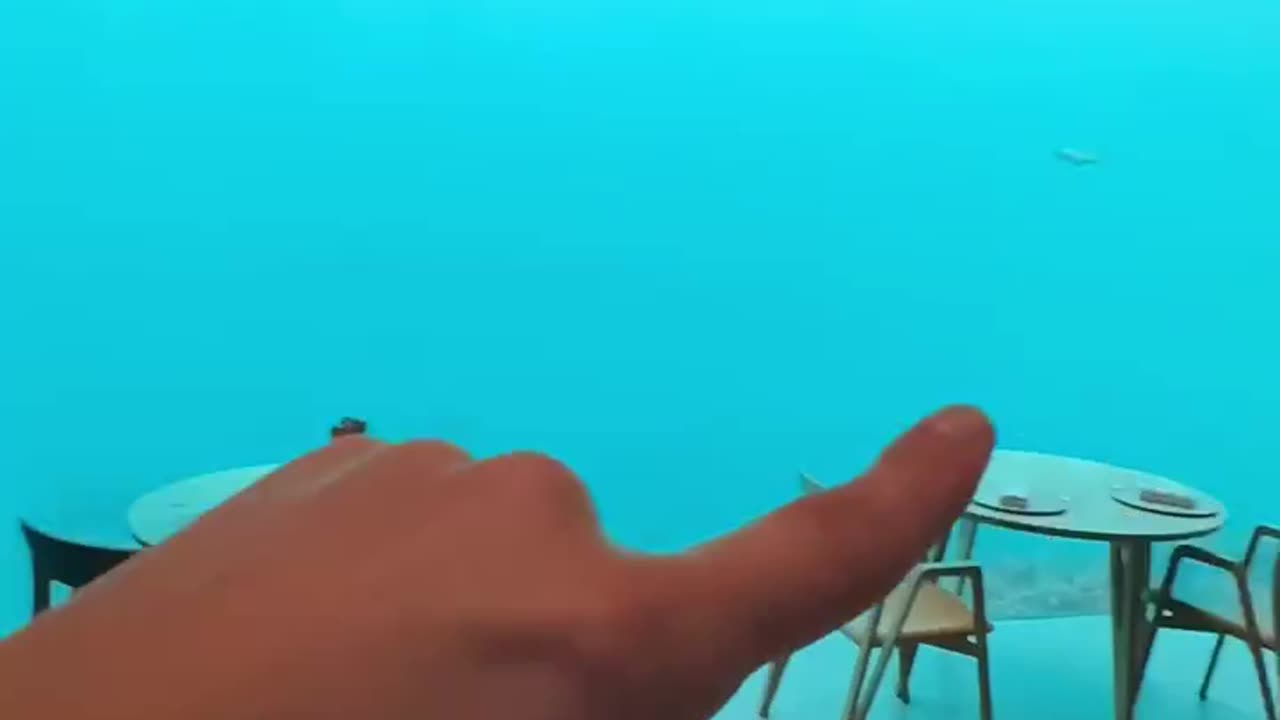 the first underwater restaurant,do you want a lunch here??