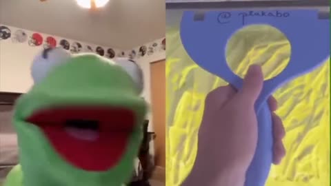 kermit on tiktok