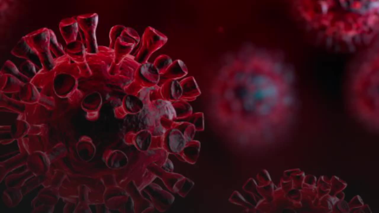 Corona deaths increase this week 18/2/2021