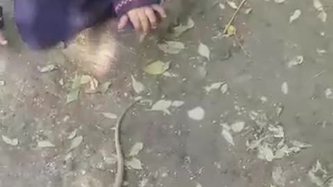 Little Kid Playing With Snake