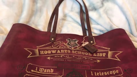 What's in my Hogwart's School List Tote Bag? Harry Potter Edition.
