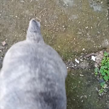 Buongiorno a tutti !