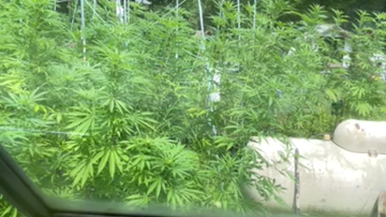 Kamala cowardice & media complicity by Derek Hunter p 05