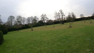 Walking around a garden . Speedlapse