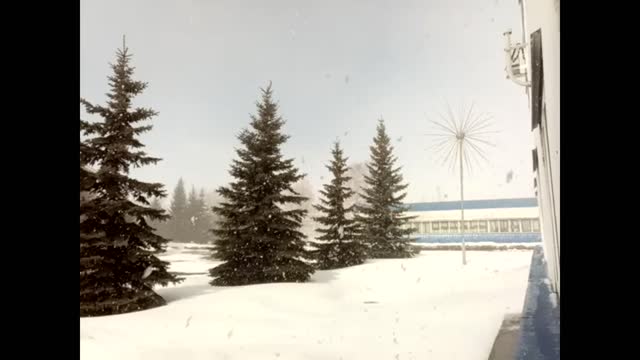 Шум зимней вьюги. 23 марта 2022. Тюмень.The noise of a winter storm. March 23, 2022. Tyumen.