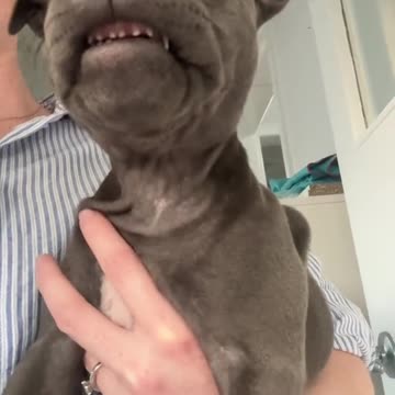 Sometimes my teeth get stuck