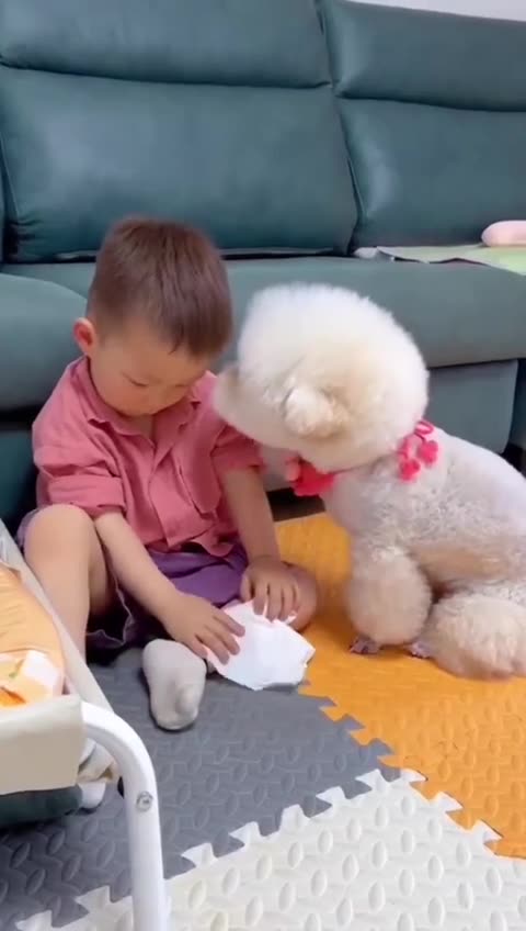 Don't Cry 😭❤️