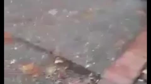 Police push a man violently then demand the video!