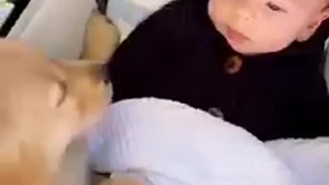 Puppy Love 🥰