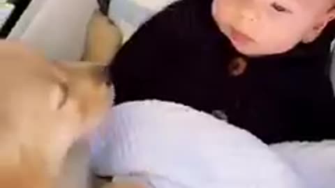 Puppy Love 🥰