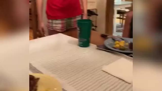 Hamster having f dat inner with family