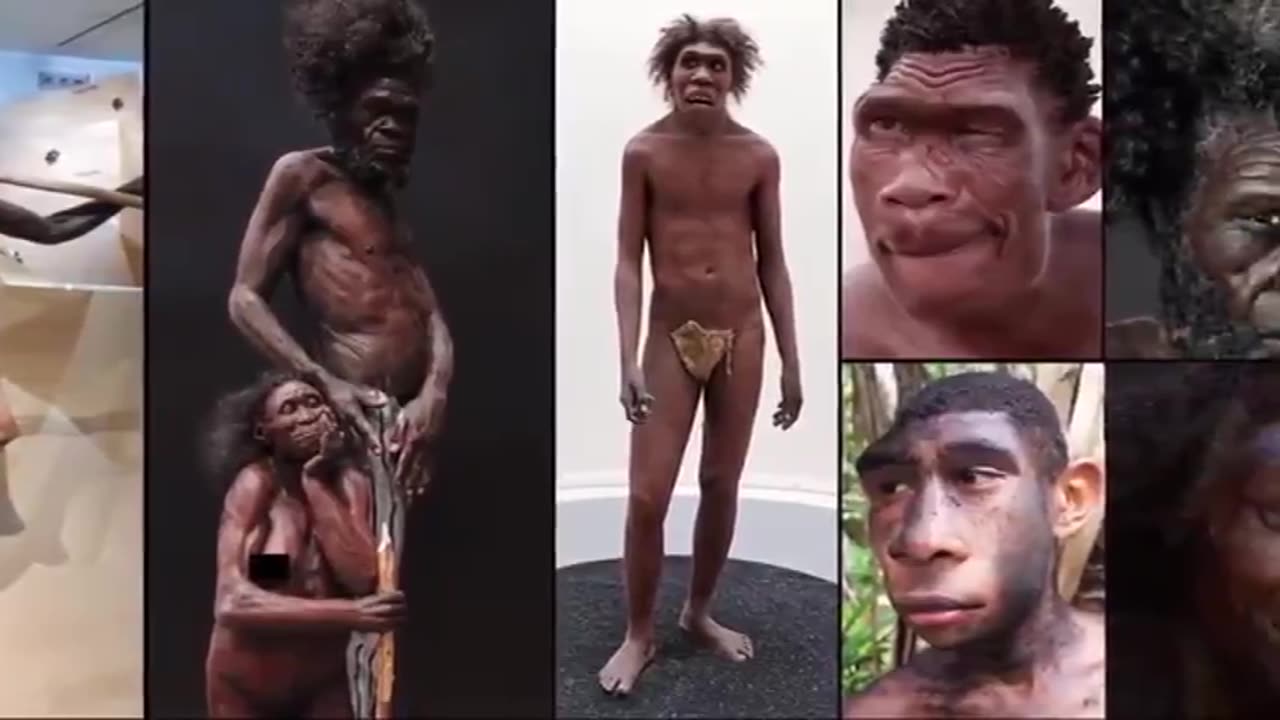 The Homo Erectus origins of subsaharan Africans