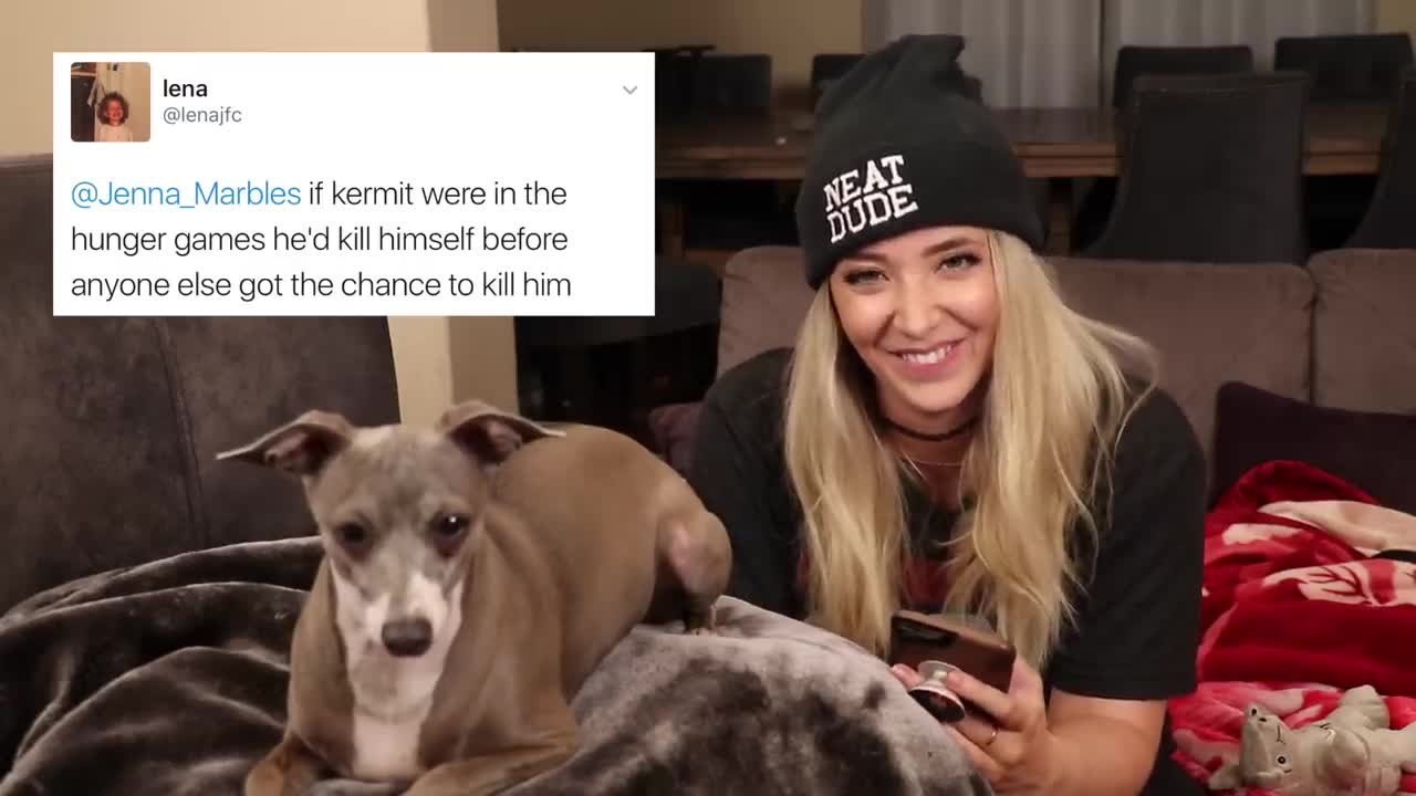 Reading Mean Comments About My Dogs