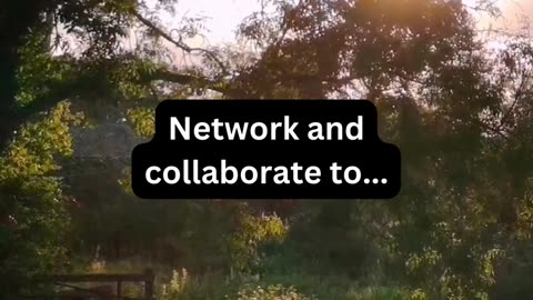 Network and collaborate to