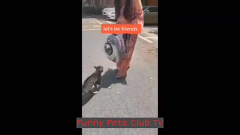 Funniest Cats and Dogs Videos 2024 😹🐶 Best Funny Animal Videos 😅