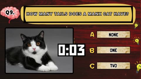 The Awesome Trivia Time - 25 Questions
