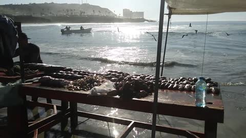 Man Selling Fresh Fish Along Beautiful Nature