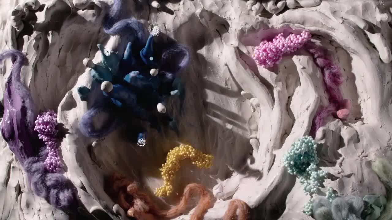 The meaning behind the video is to remind us that blankets are full of germs