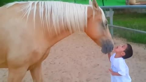 Boy With williams syndrome Forms Incredible Bond With Young Horse 🐎