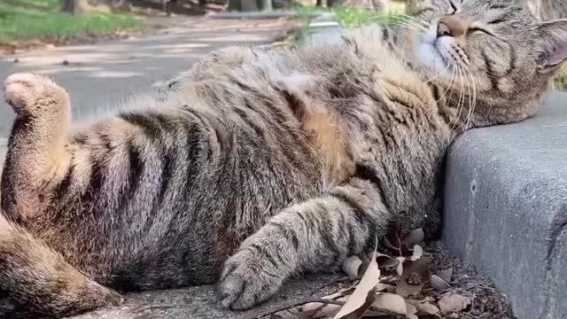Who woke me up?