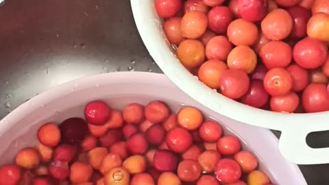 Washing and drying plums