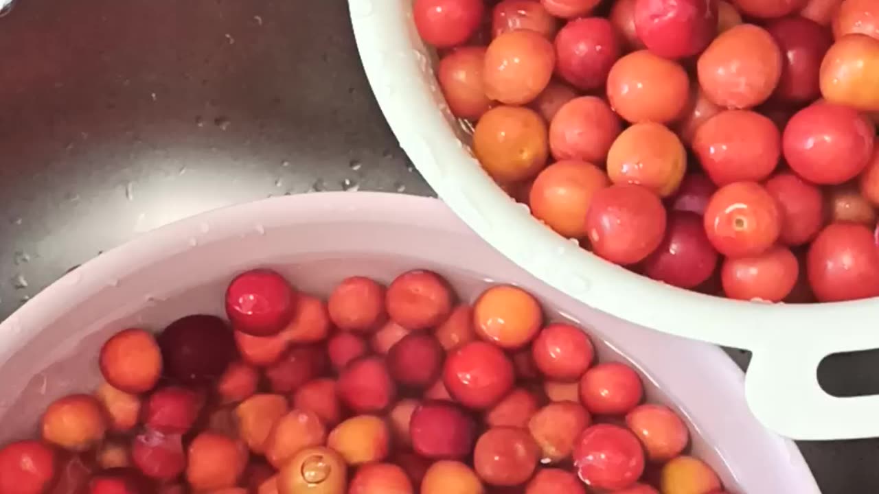 Washing and drying plums