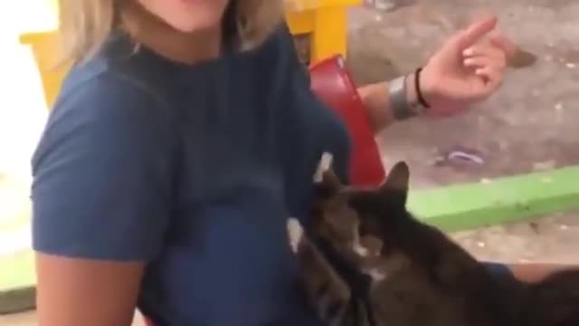 Cat is pumping girl's boo?