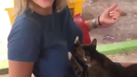 Cat is pumping girl's boo?