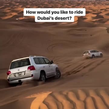 You need go safari tour at dubai #dubai #short #video #funny