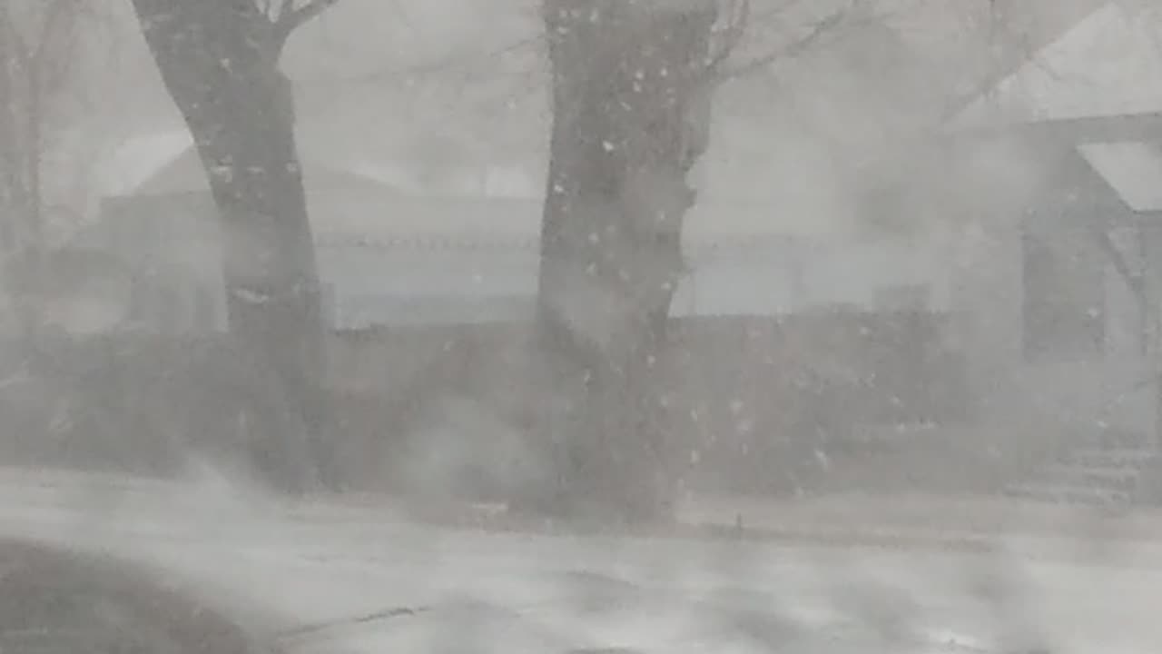 Winter driving in snow storm