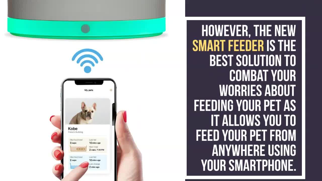 Importance of Technology in Pet’s Life