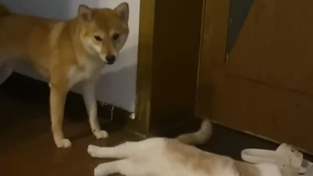 They make noise every day