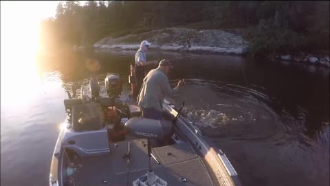 Crazy Muskie Strike