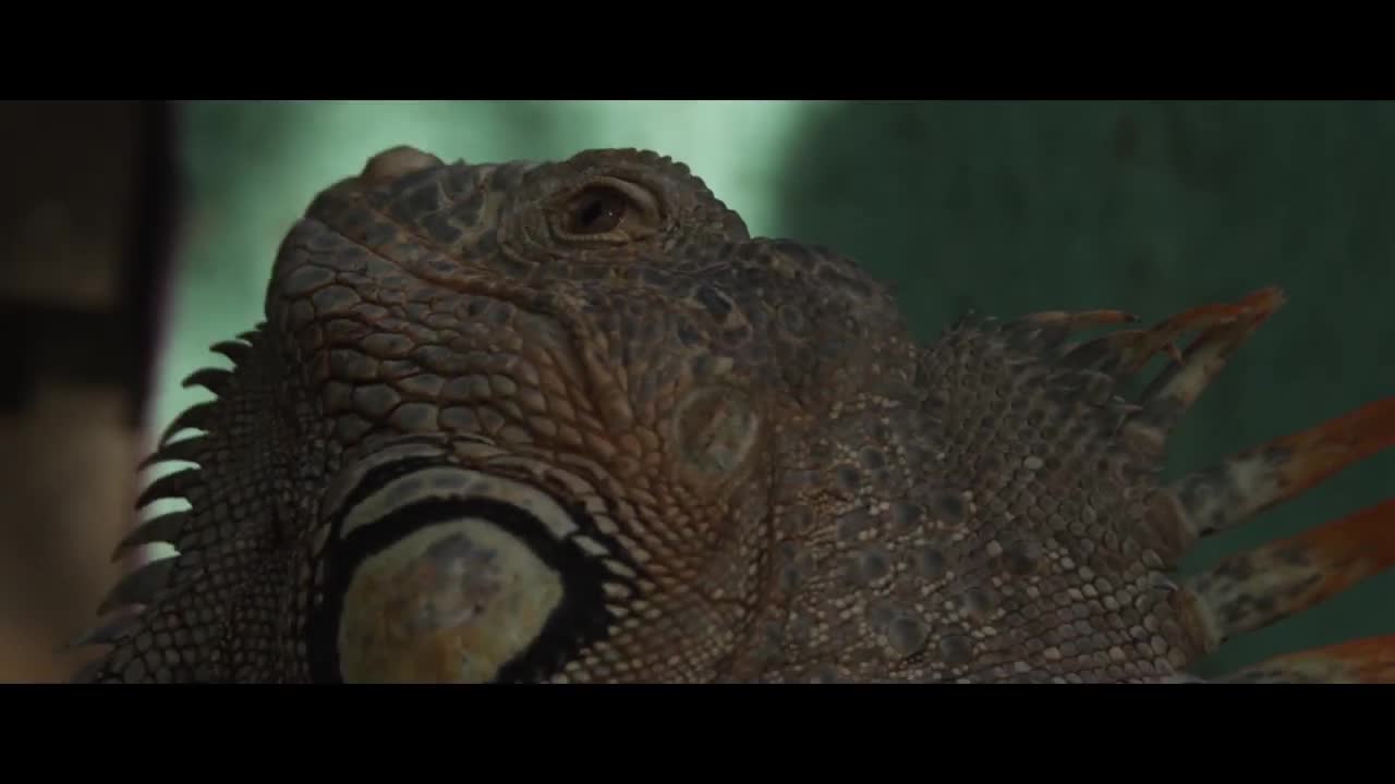 L'etat D'esprit - Trailer