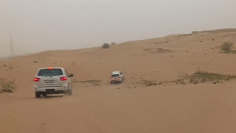 Amazing trip to desert safari