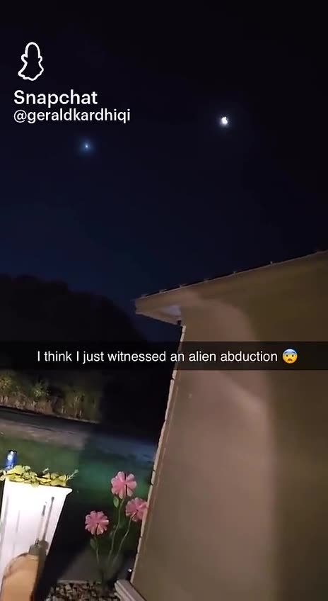 Fun Time with Gates' mosquitos